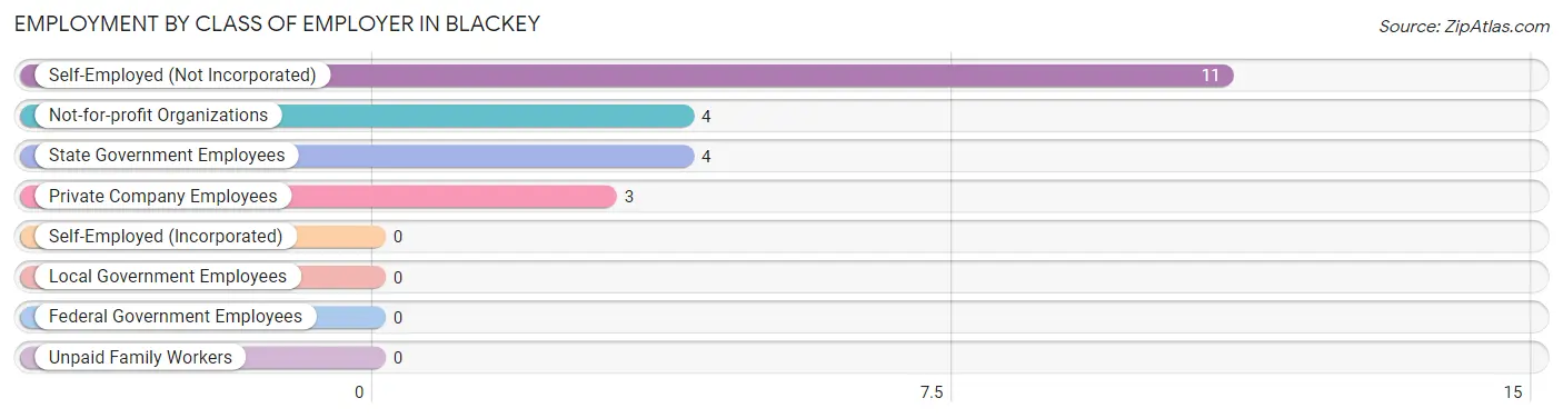 Employment by Class of Employer in Blackey