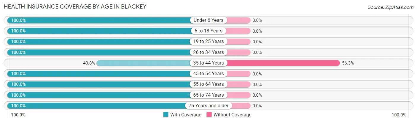 Health Insurance Coverage by Age in Blackey
