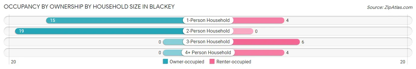Occupancy by Ownership by Household Size in Blackey
