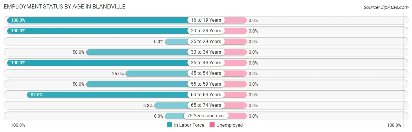 Employment Status by Age in Blandville
