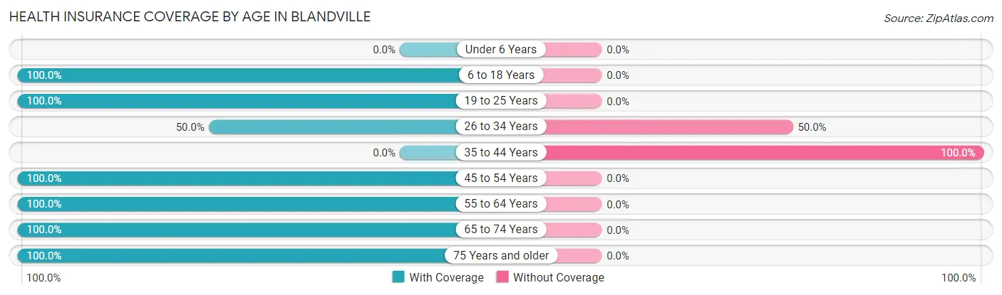 Health Insurance Coverage by Age in Blandville