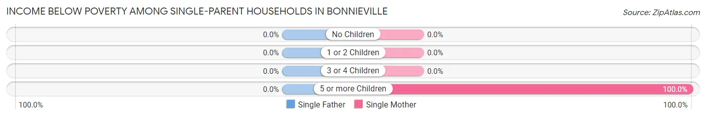 Income Below Poverty Among Single-Parent Households in Bonnieville