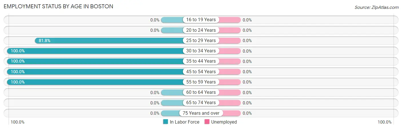 Employment Status by Age in Boston