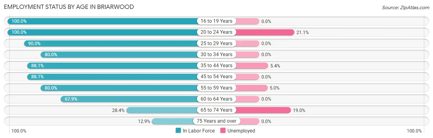 Employment Status by Age in Briarwood