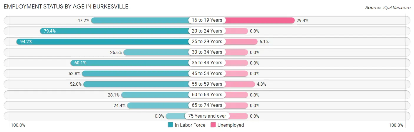 Employment Status by Age in Burkesville