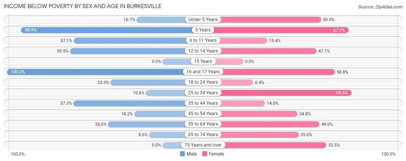 Income Below Poverty by Sex and Age in Burkesville