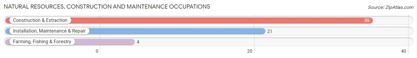 Natural Resources, Construction and Maintenance Occupations in Burkesville