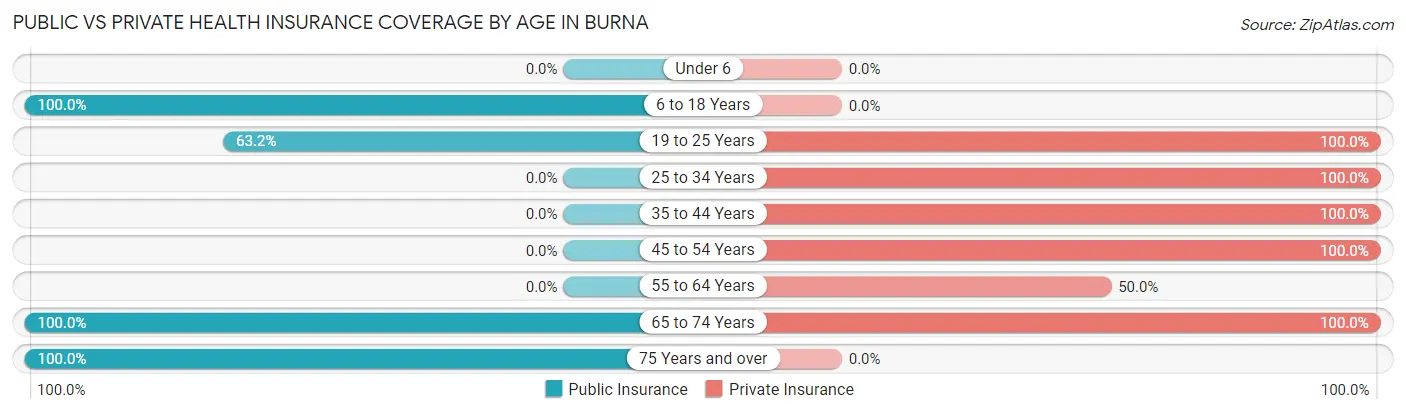 Public vs Private Health Insurance Coverage by Age in Burna