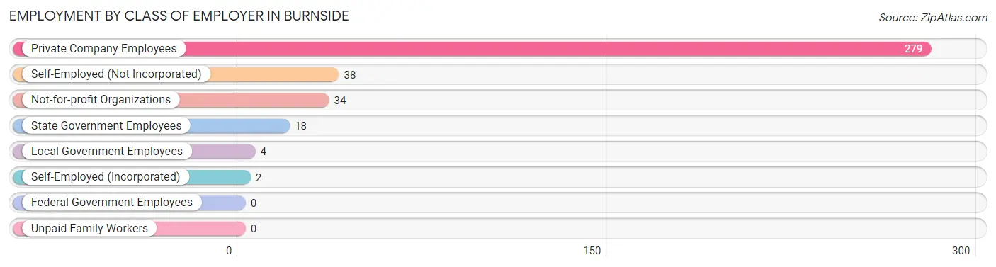 Employment by Class of Employer in Burnside