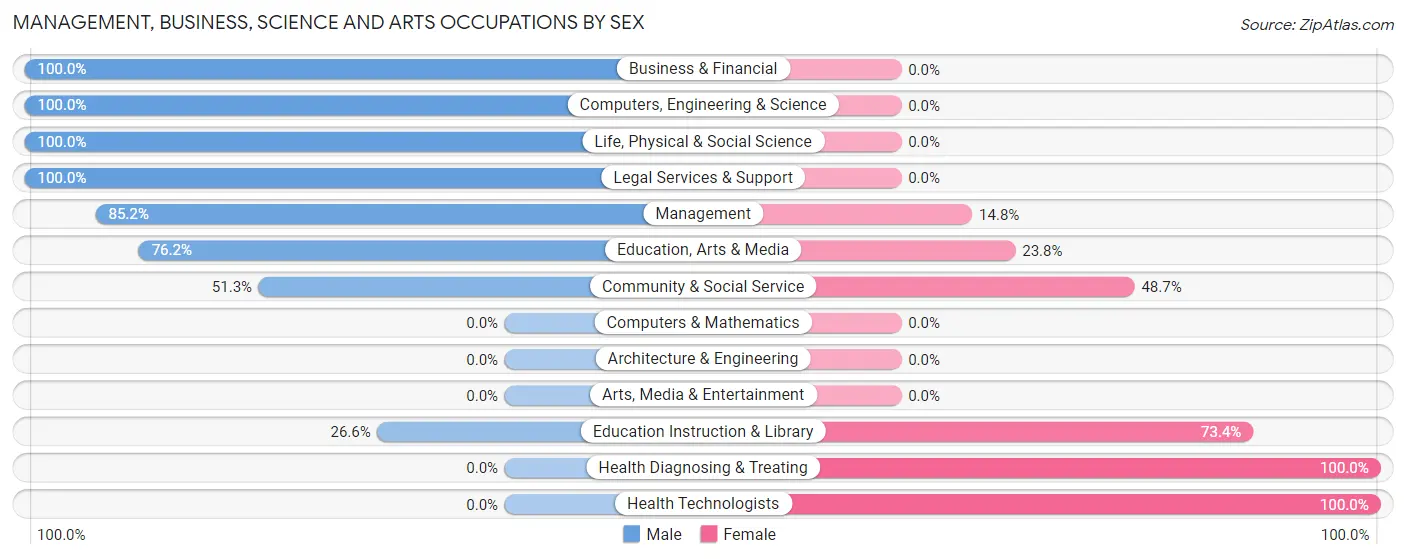 Management, Business, Science and Arts Occupations by Sex in Cadiz