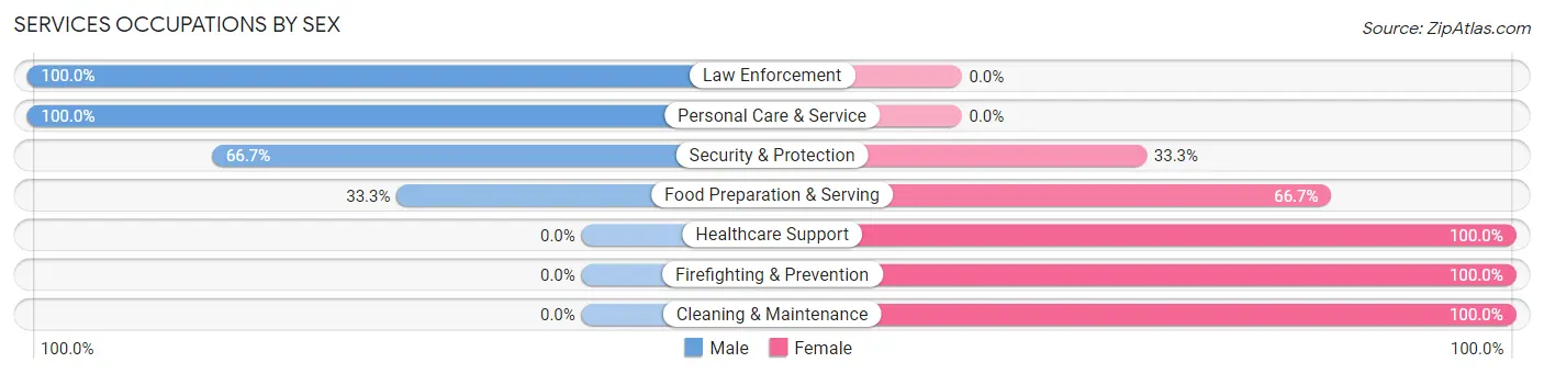 Services Occupations by Sex in Camargo
