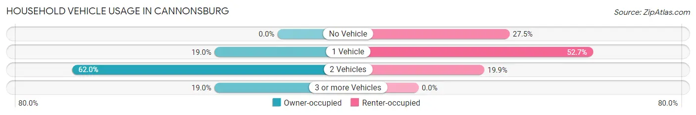 Household Vehicle Usage in Cannonsburg