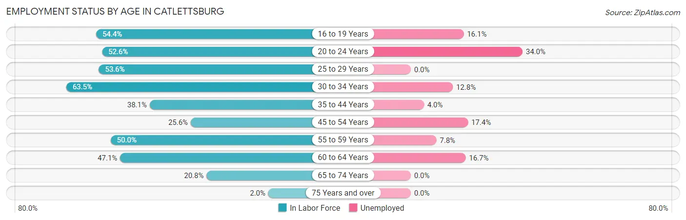 Employment Status by Age in Catlettsburg