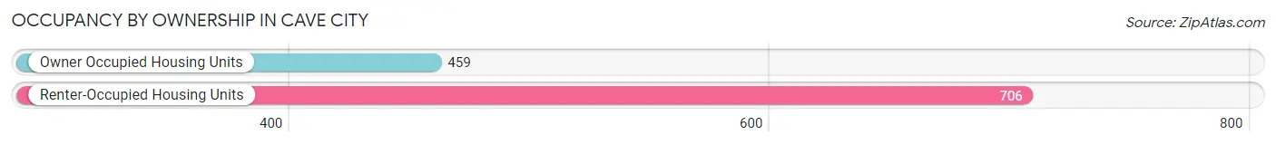 Occupancy by Ownership in Cave City