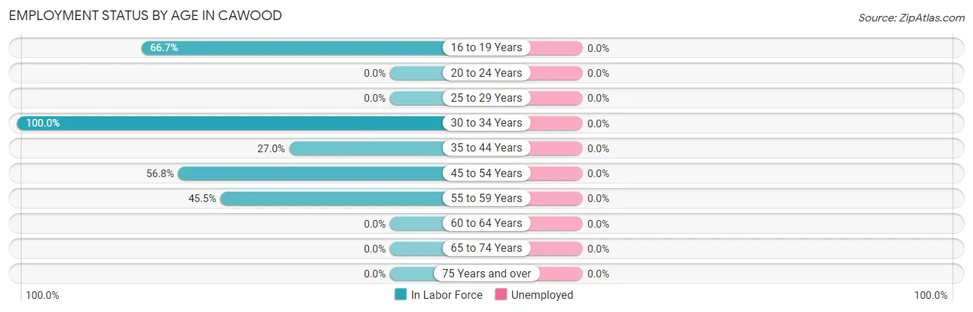 Employment Status by Age in Cawood