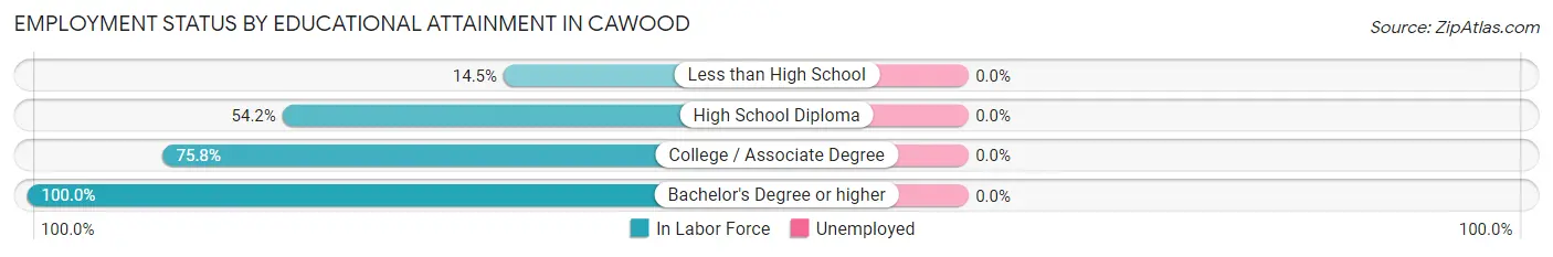 Employment Status by Educational Attainment in Cawood