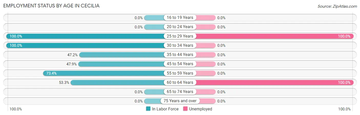 Employment Status by Age in Cecilia