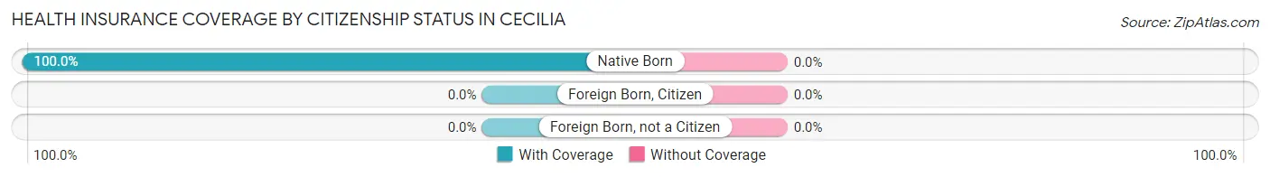 Health Insurance Coverage by Citizenship Status in Cecilia