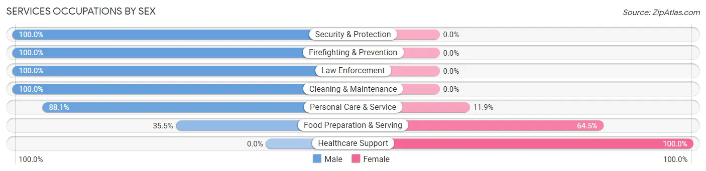 Services Occupations by Sex in Central City