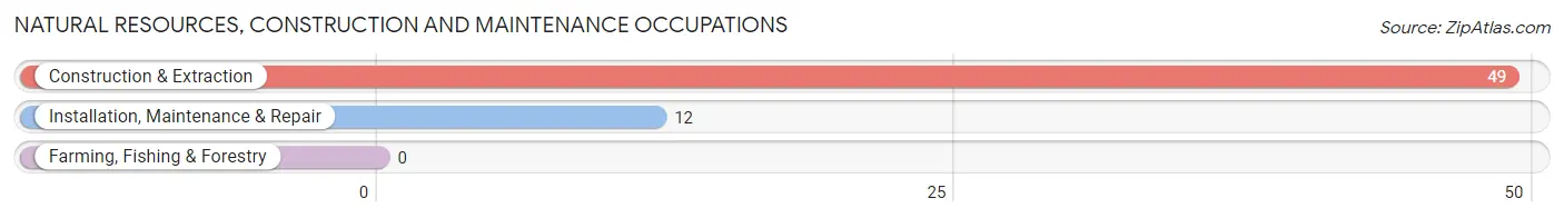 Natural Resources, Construction and Maintenance Occupations in Crestview