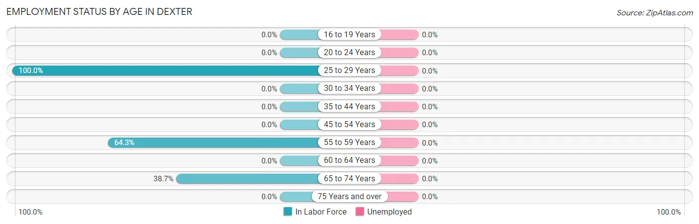 Employment Status by Age in Dexter