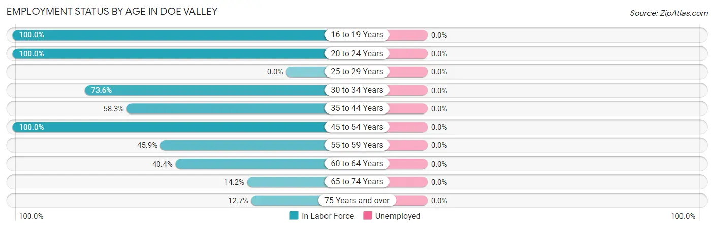 Employment Status by Age in Doe Valley