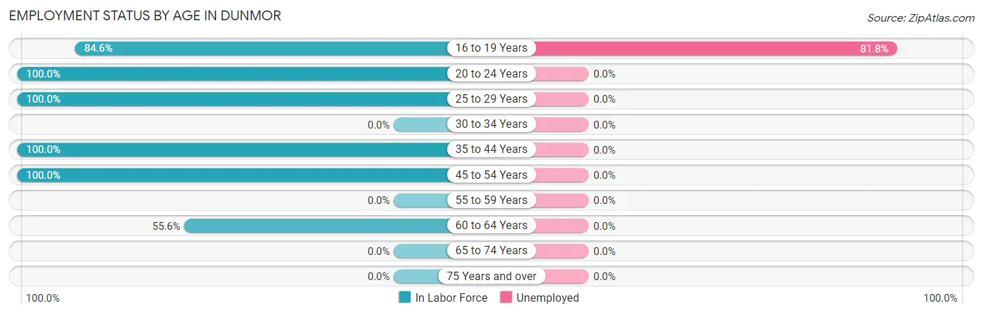 Employment Status by Age in Dunmor