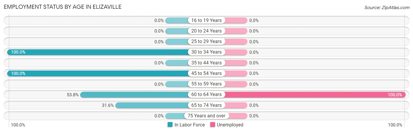 Employment Status by Age in Elizaville