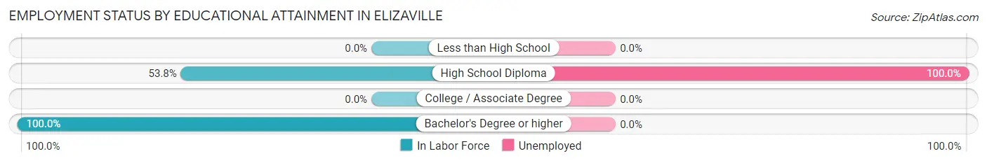 Employment Status by Educational Attainment in Elizaville