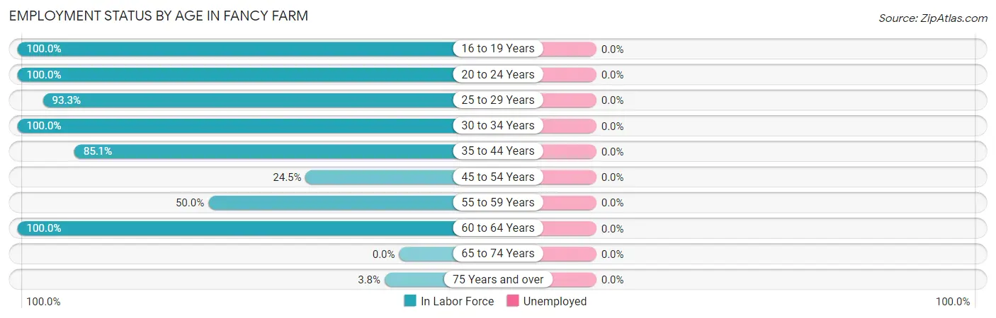 Employment Status by Age in Fancy Farm