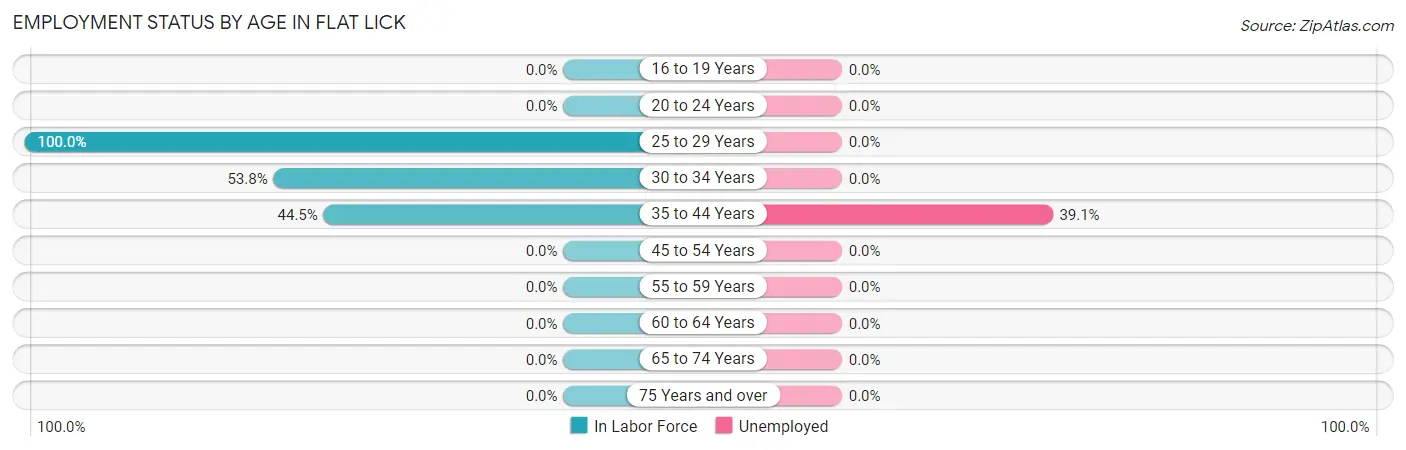 Employment Status by Age in Flat Lick