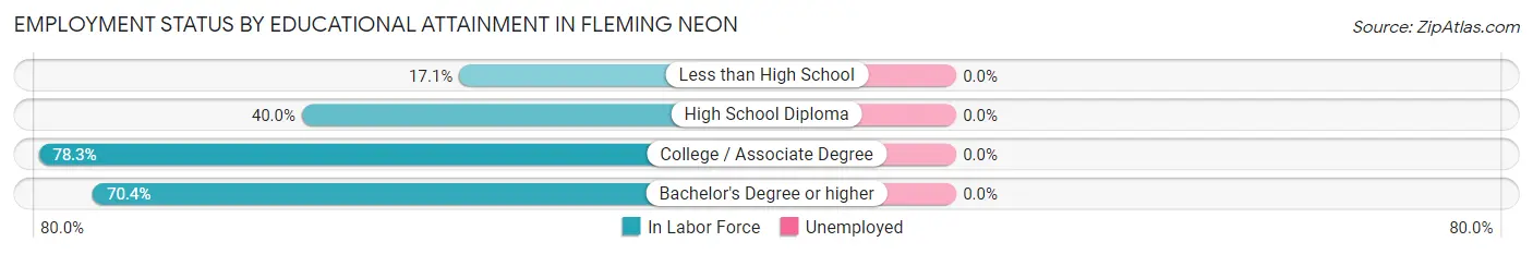 Employment Status by Educational Attainment in Fleming Neon