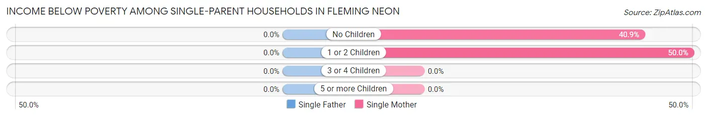 Income Below Poverty Among Single-Parent Households in Fleming Neon