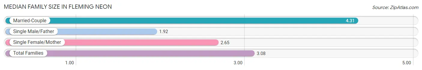 Median Family Size in Fleming Neon