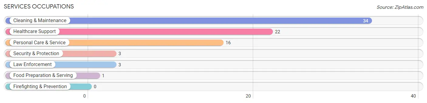 Services Occupations in Fleming Neon