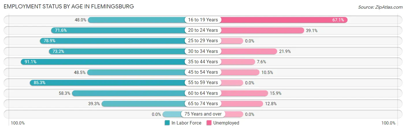 Employment Status by Age in Flemingsburg