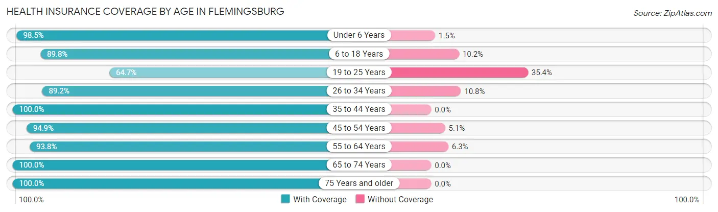 Health Insurance Coverage by Age in Flemingsburg