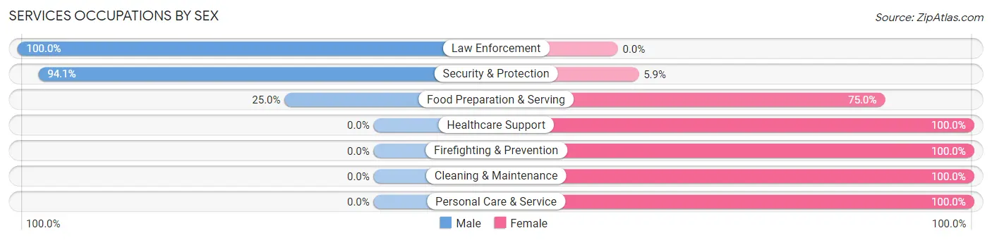 Services Occupations by Sex in Flemingsburg