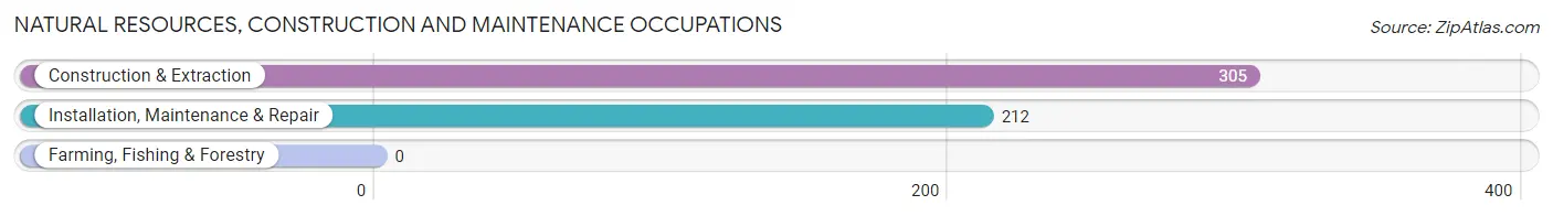 Natural Resources, Construction and Maintenance Occupations in Francisville