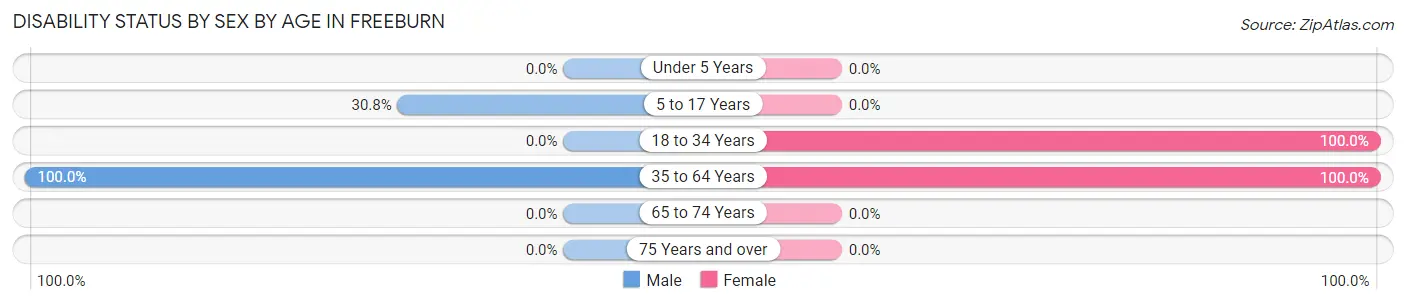 Disability Status by Sex by Age in Freeburn