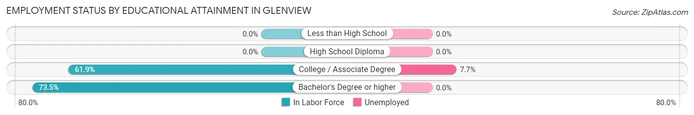 Employment Status by Educational Attainment in Glenview