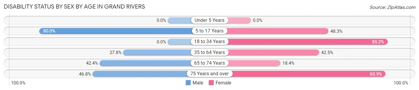 Disability Status by Sex by Age in Grand Rivers