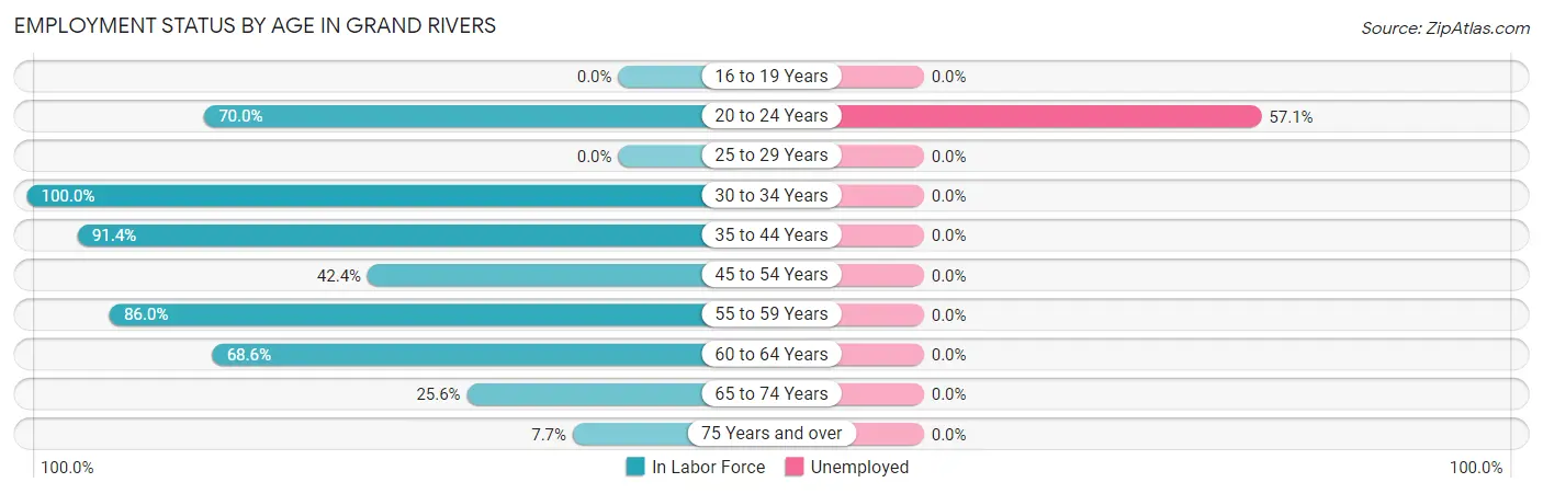 Employment Status by Age in Grand Rivers