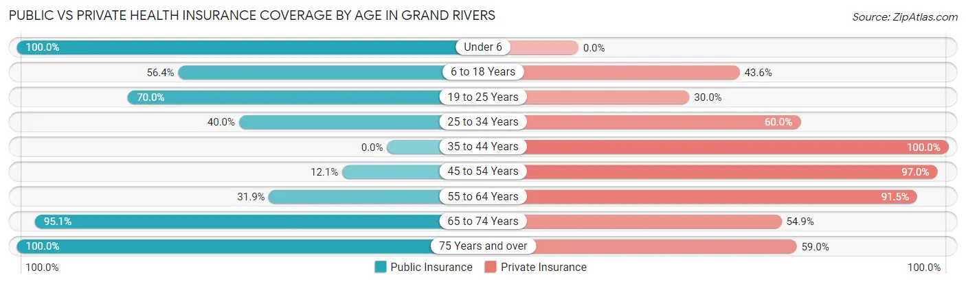 Public vs Private Health Insurance Coverage by Age in Grand Rivers