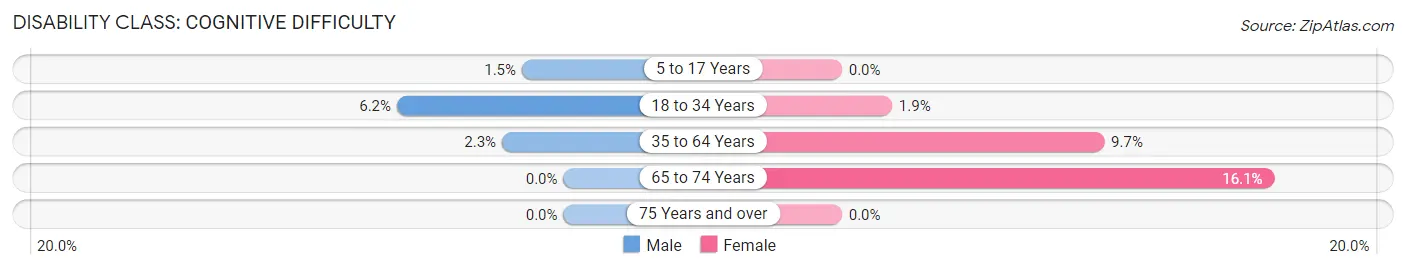 Disability in Hebron: <span>Cognitive Difficulty</span>