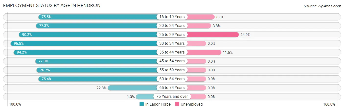 Employment Status by Age in Hendron