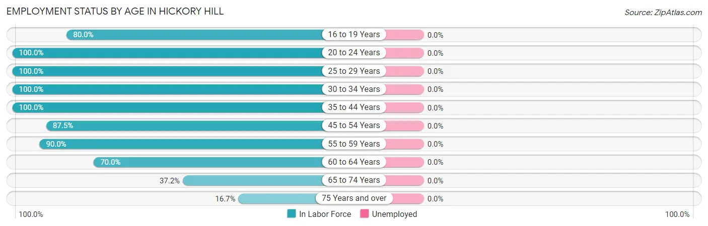 Employment Status by Age in Hickory Hill