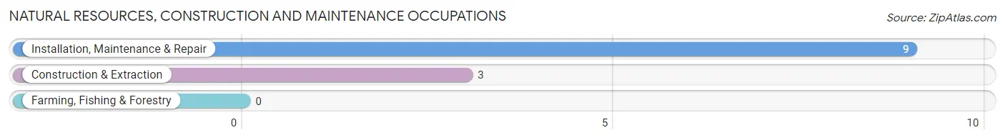 Natural Resources, Construction and Maintenance Occupations in Hickory Hill