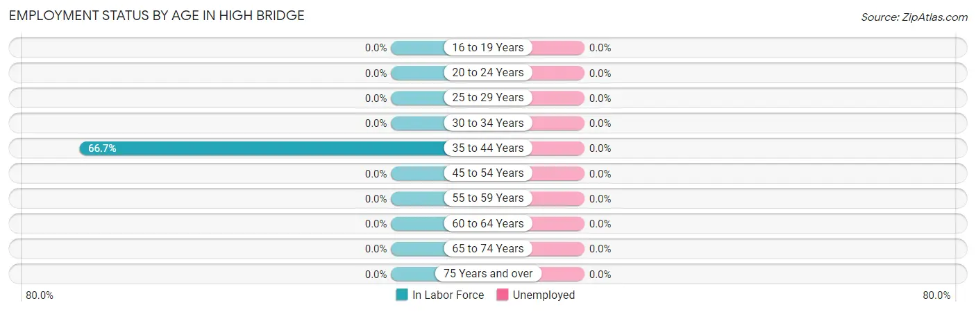 Employment Status by Age in High Bridge