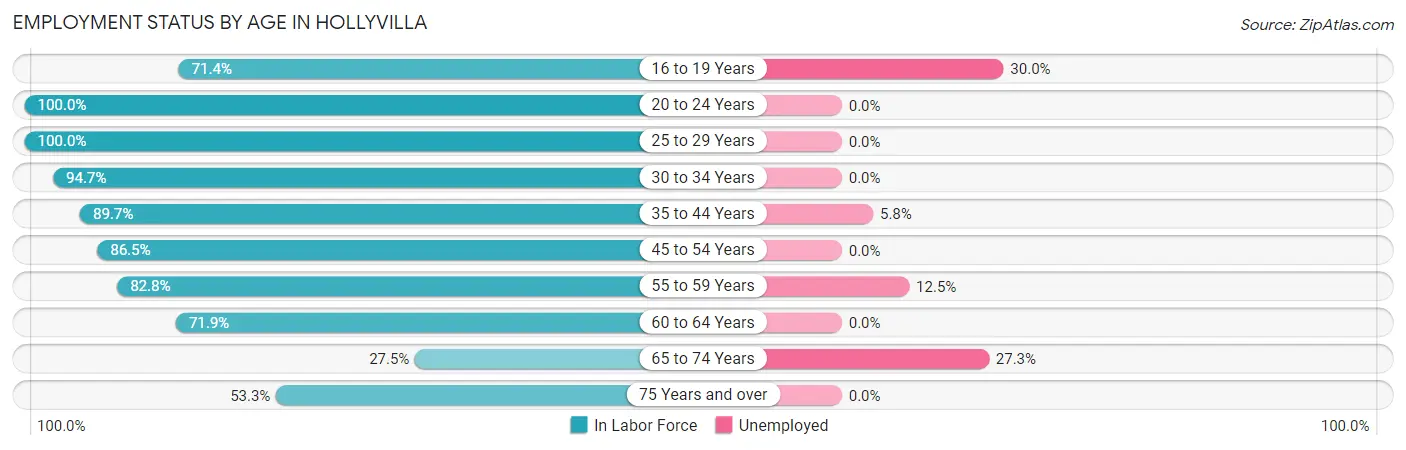 Employment Status by Age in Hollyvilla